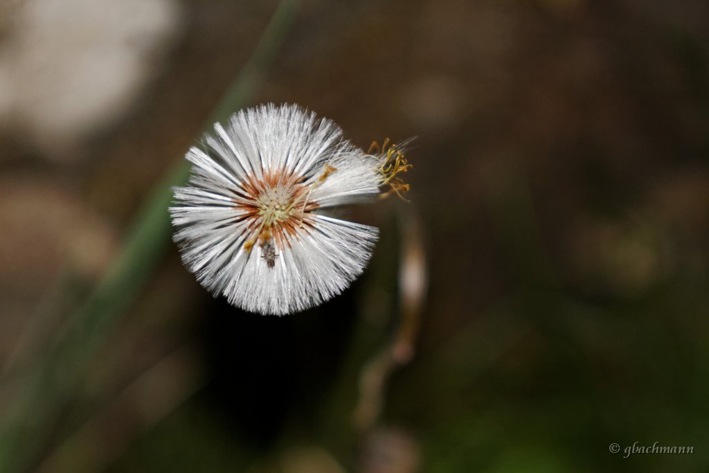 20120623_251